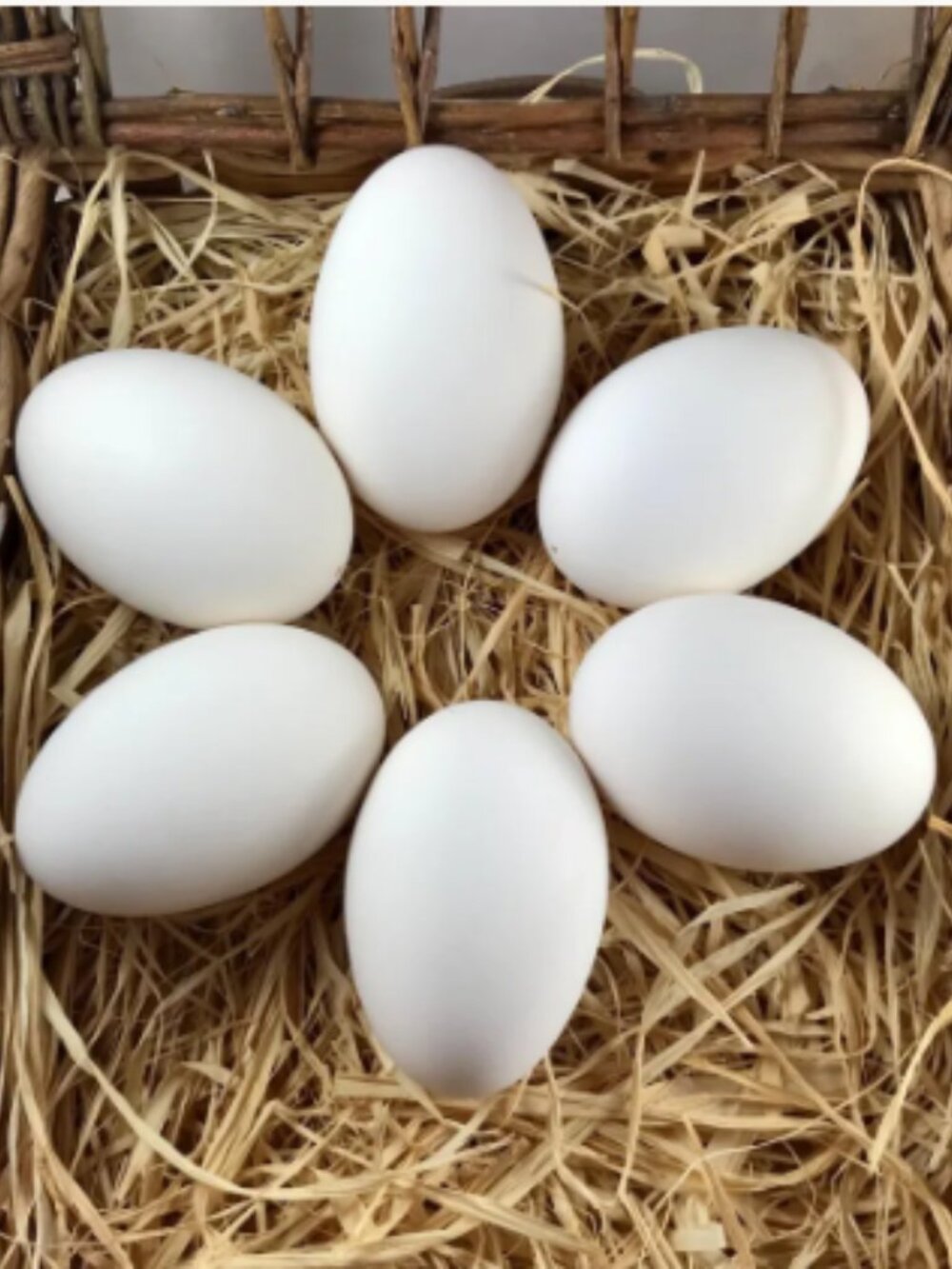 6 Hand Blown Geese Eggs along with carving designs/instructions